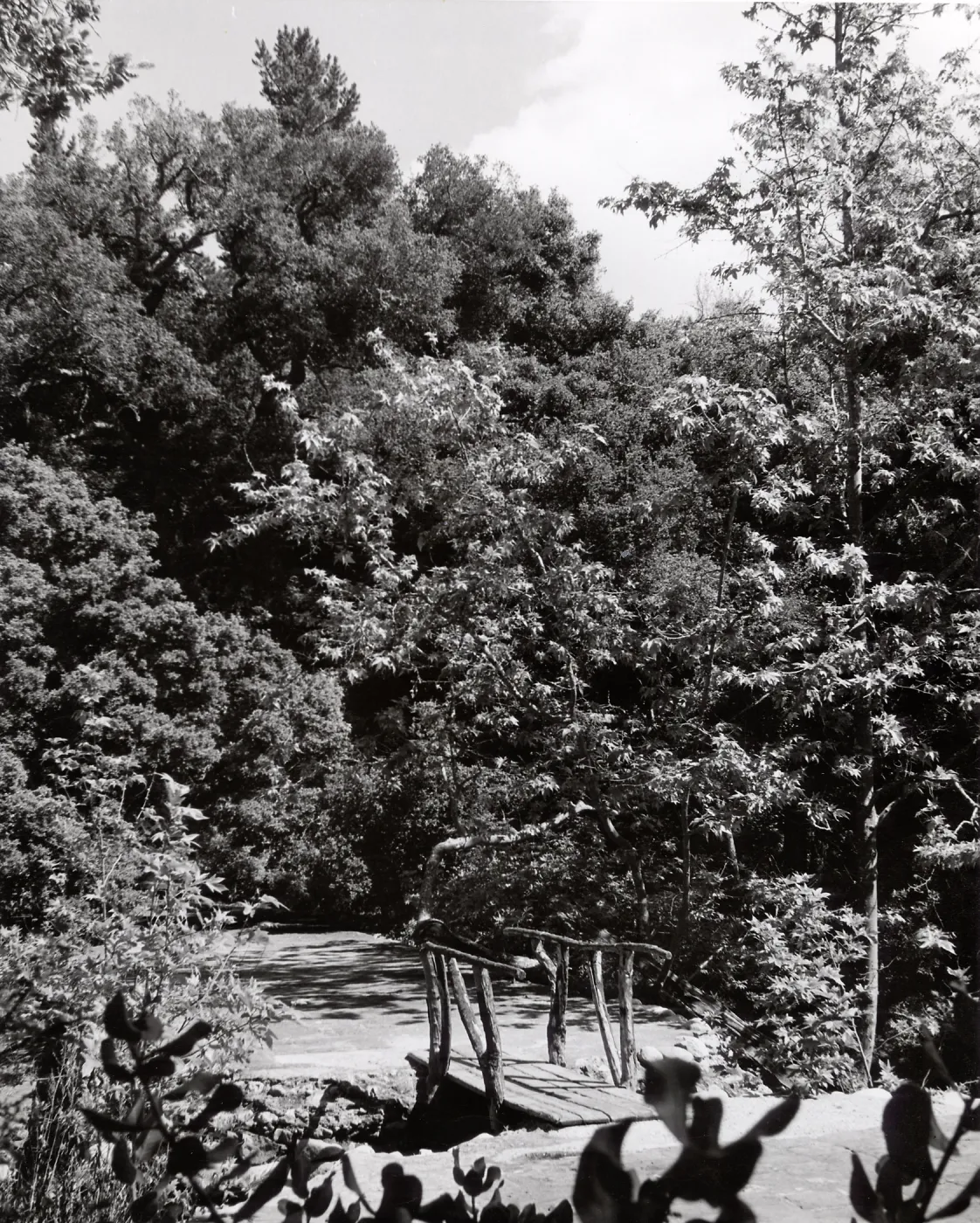 bridge over Mission Dam