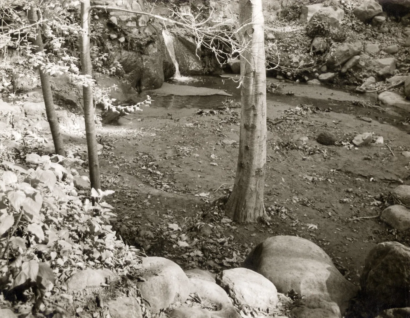 Mission Creek, below Old Mission Dam, SBBG