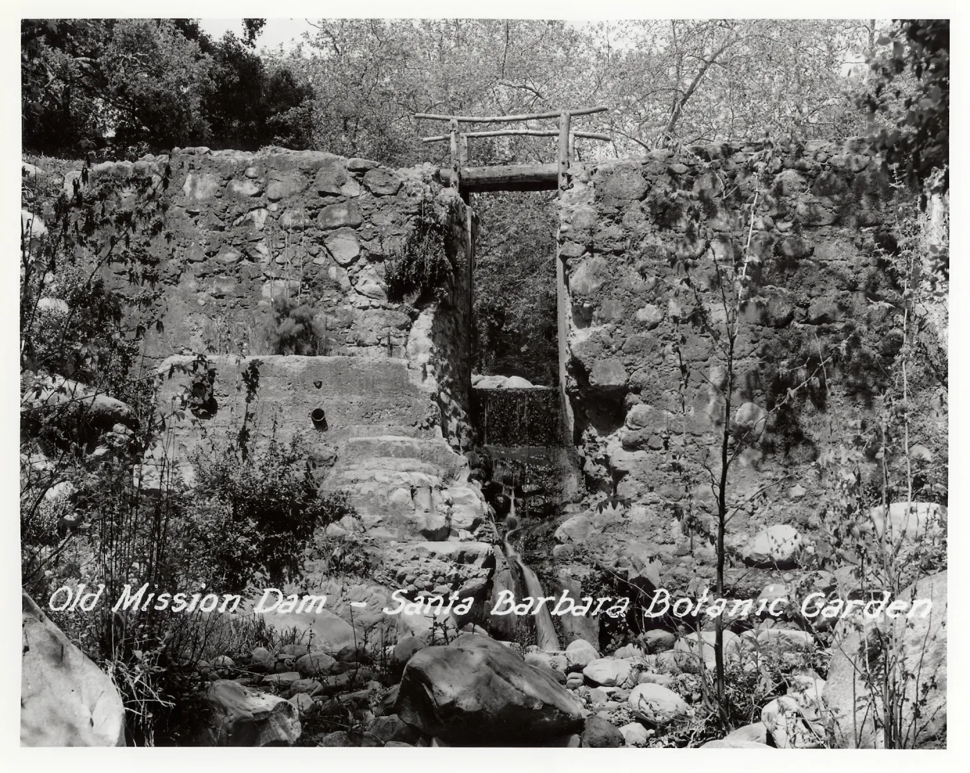 Old Mission Dam, Santa Barbara Botanic Garden postcard