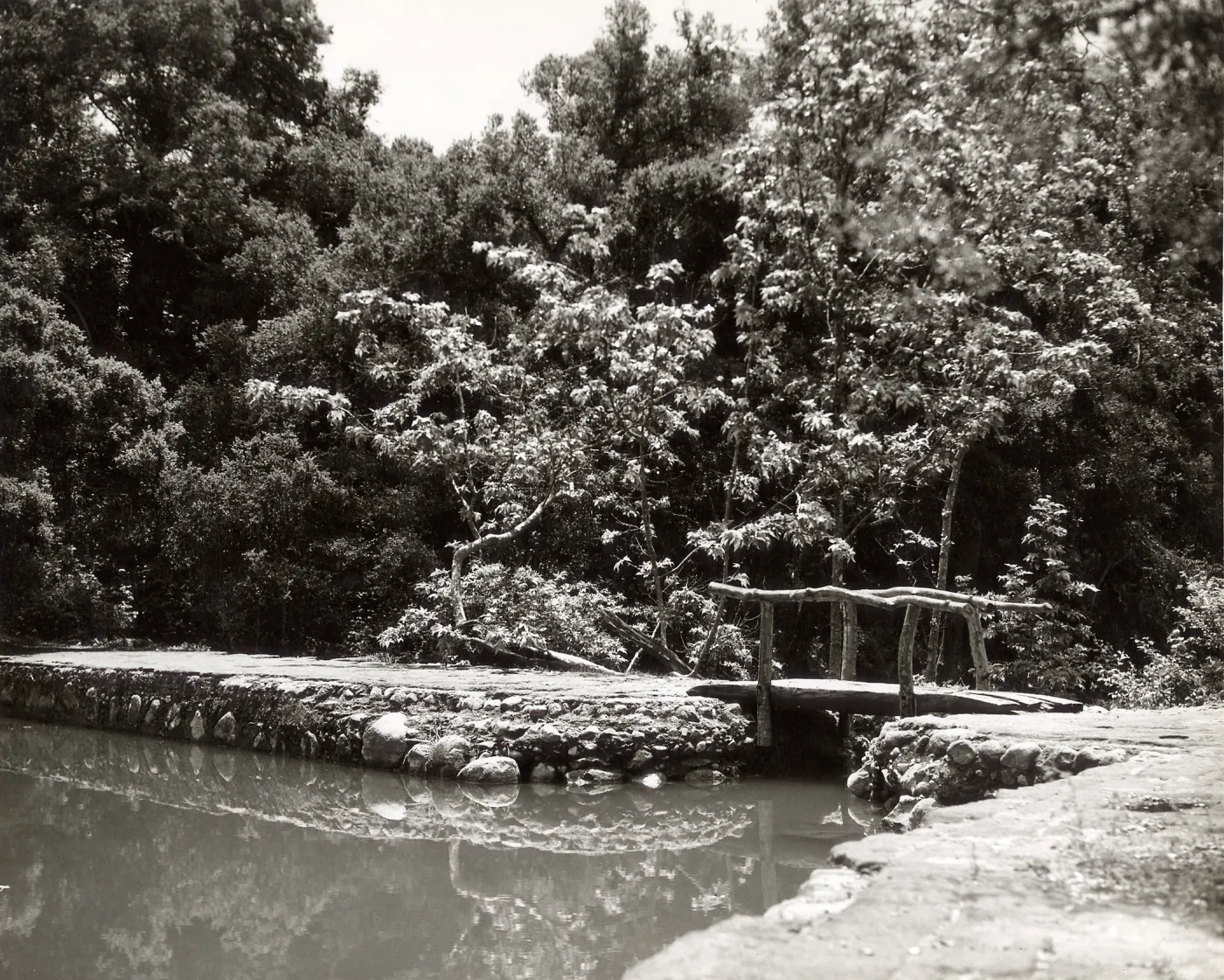 pool above Mission Dam, SBBG