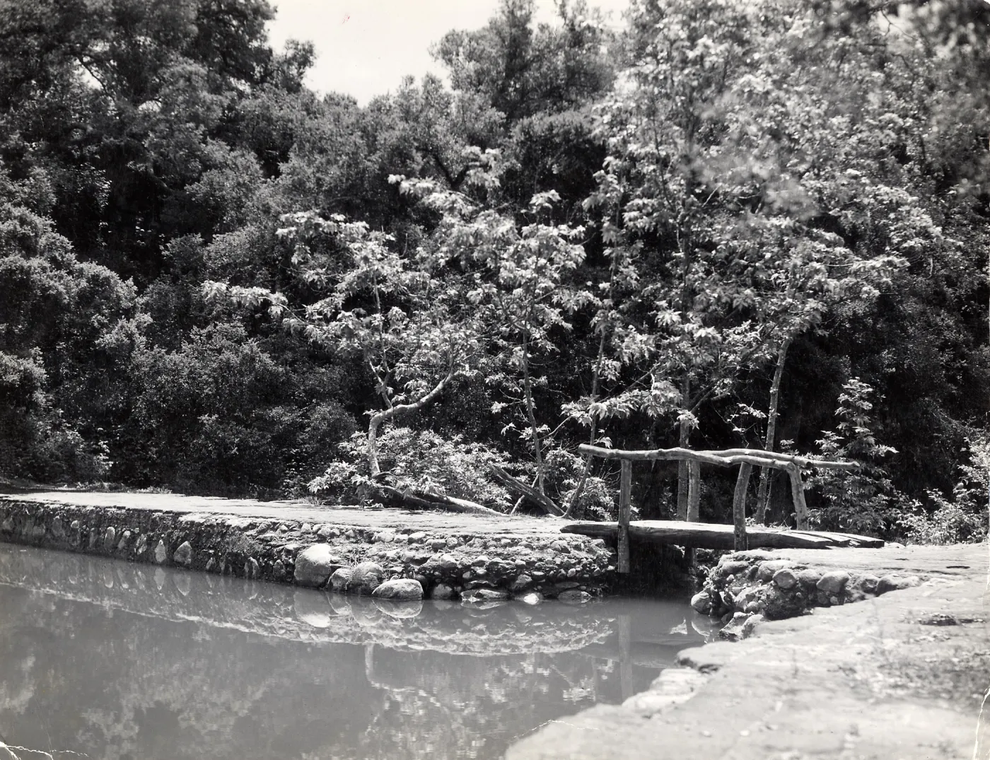 pool above Mission Dam, SBBG