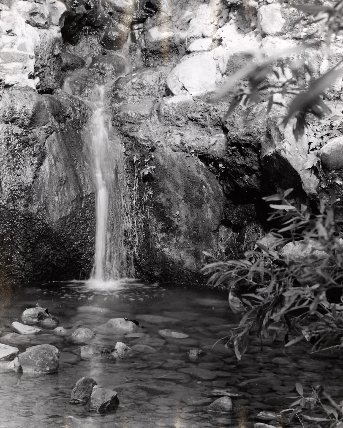 waterfall pool below Mission Dam, SBBG