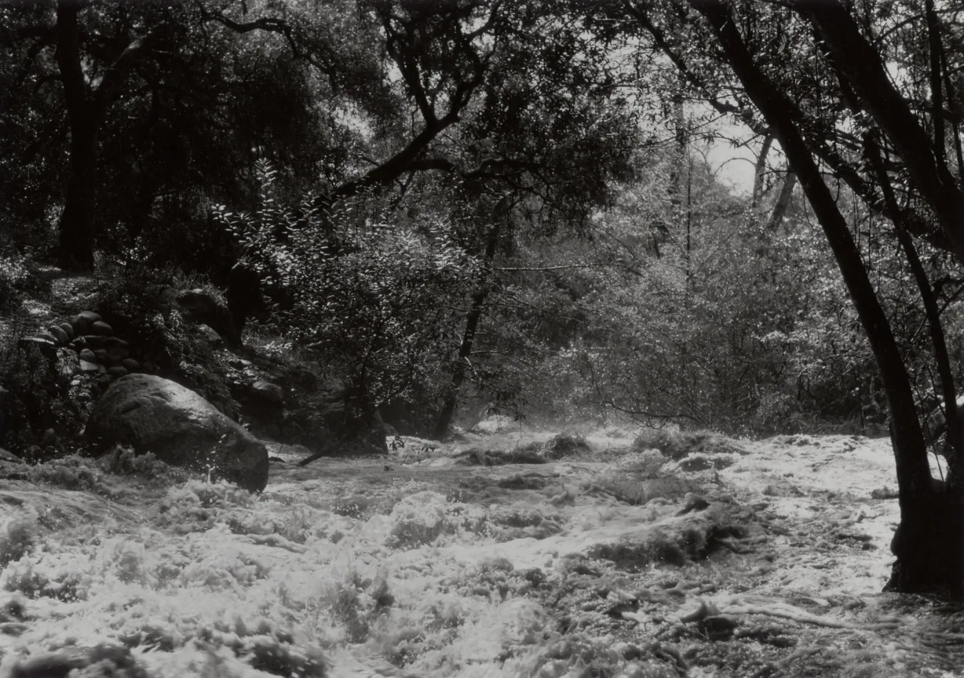 Mission Creek at flood level