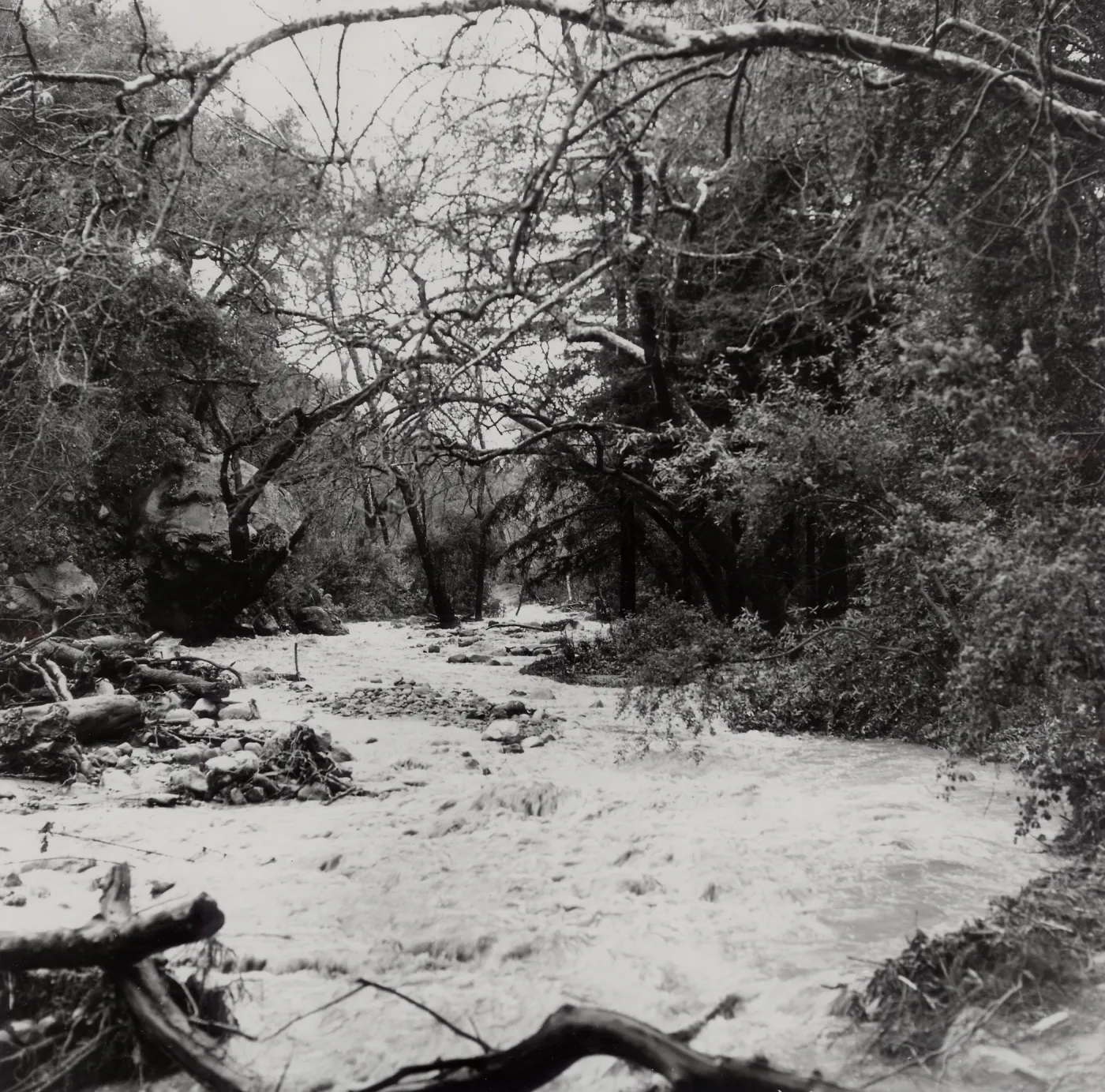 Mission Creek above the Mission Dam, Spring 1969