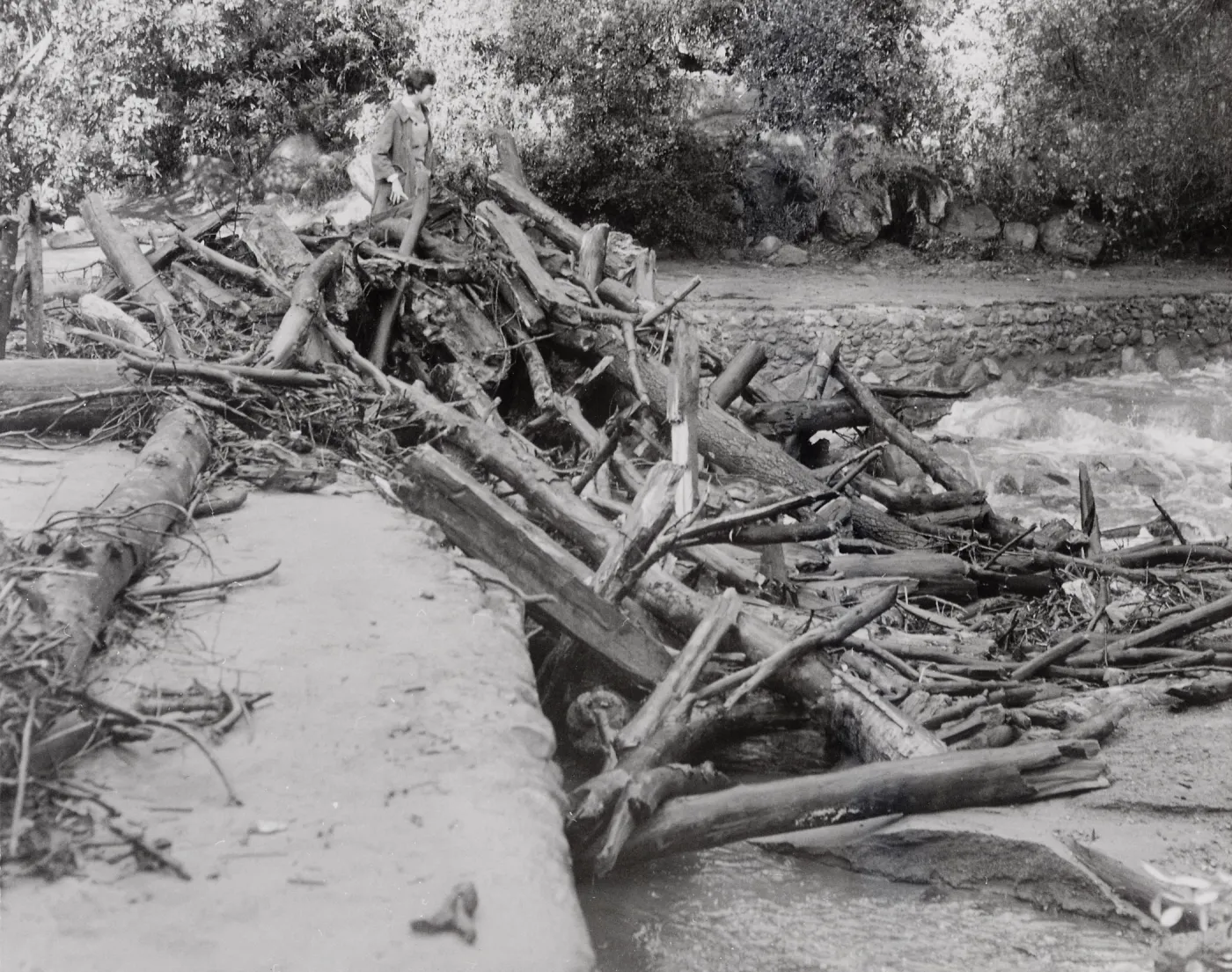 Logs behind the Dam, January 1969 flood