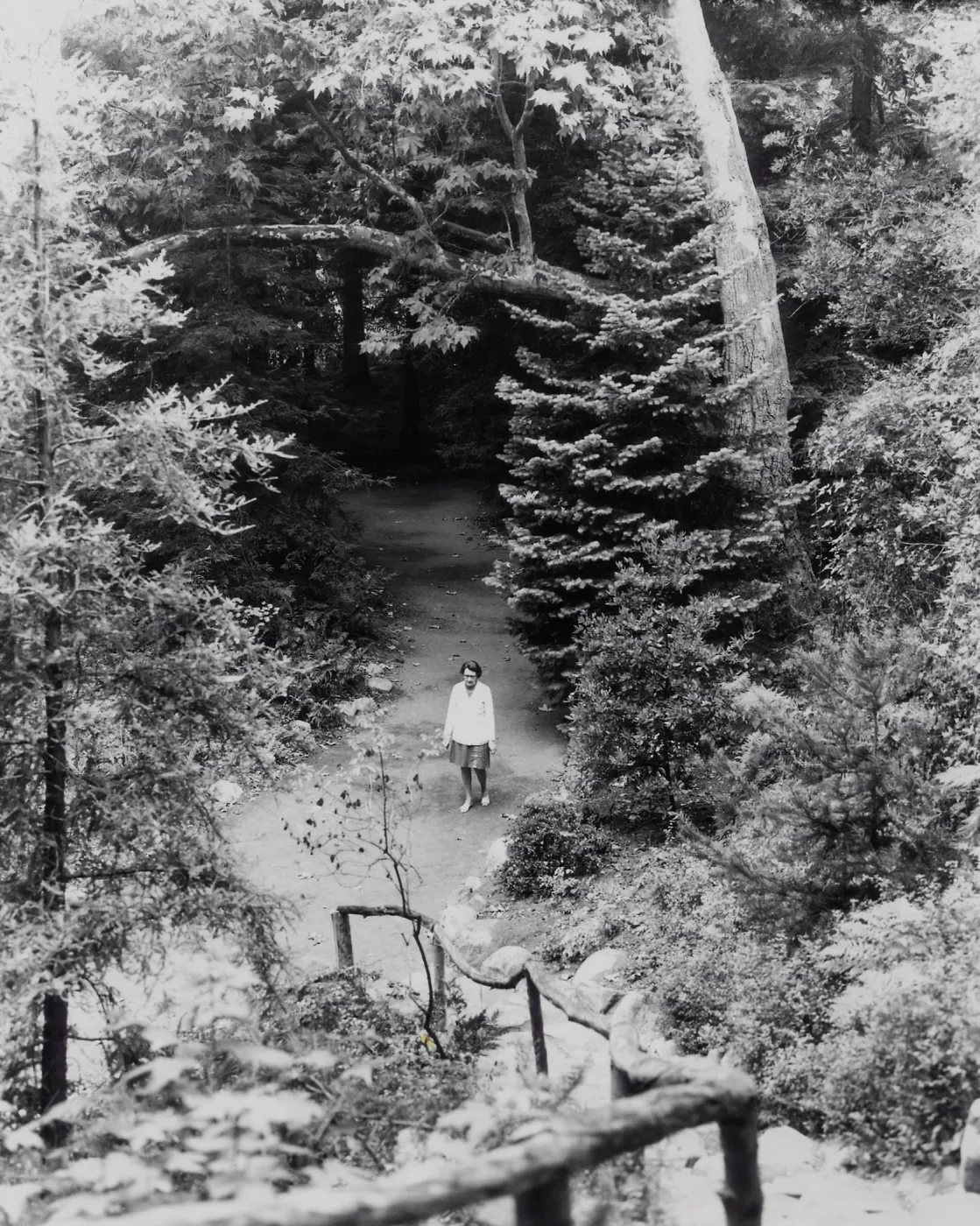 Indian Steps and canyon path