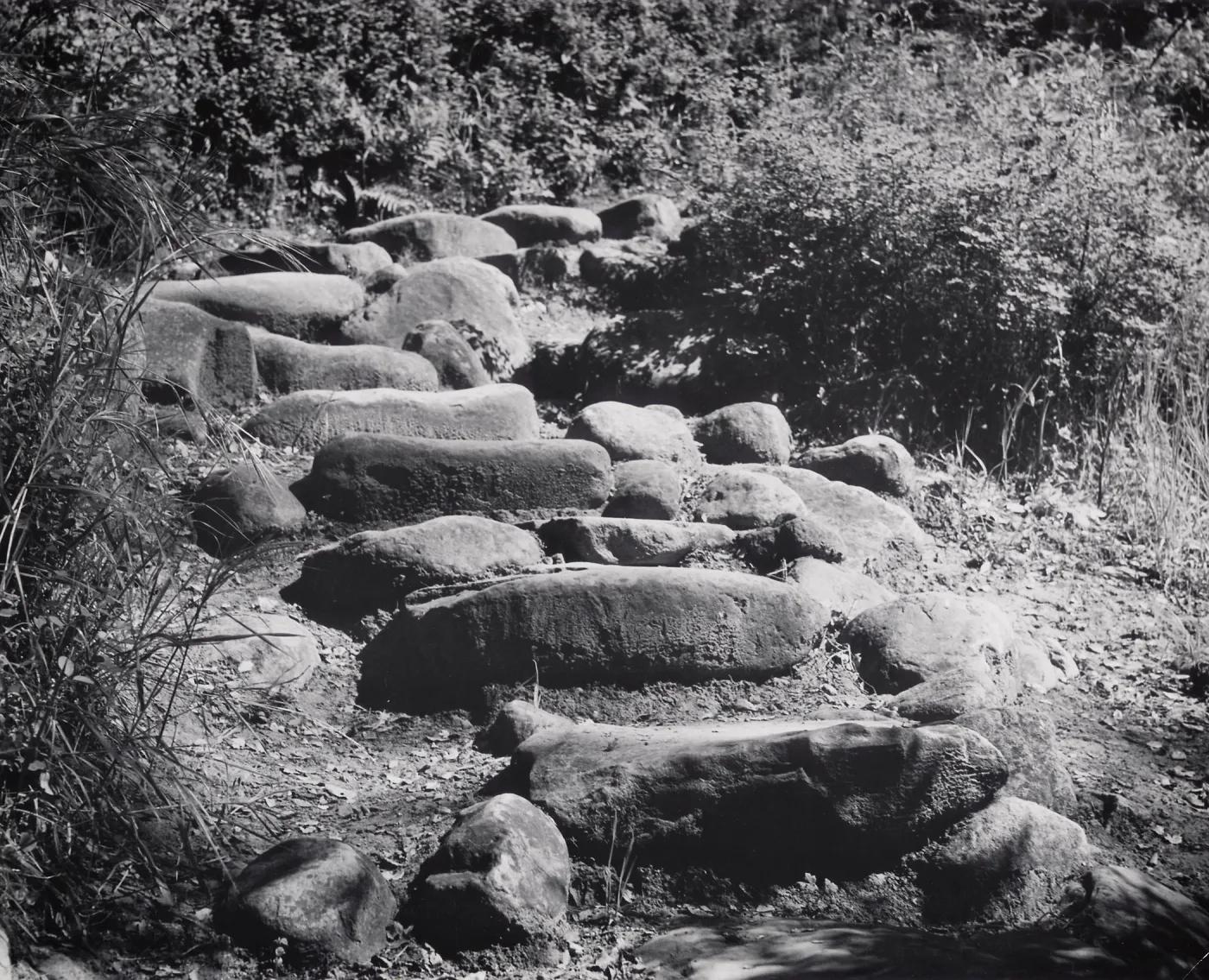 Steps, Manzanita Section