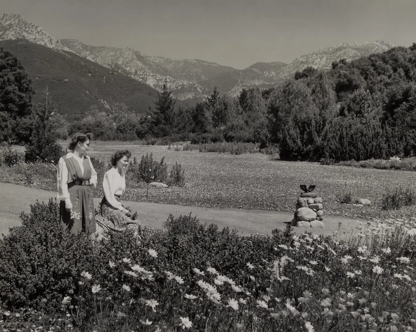 Strawberry Meadow, © Josef Muench