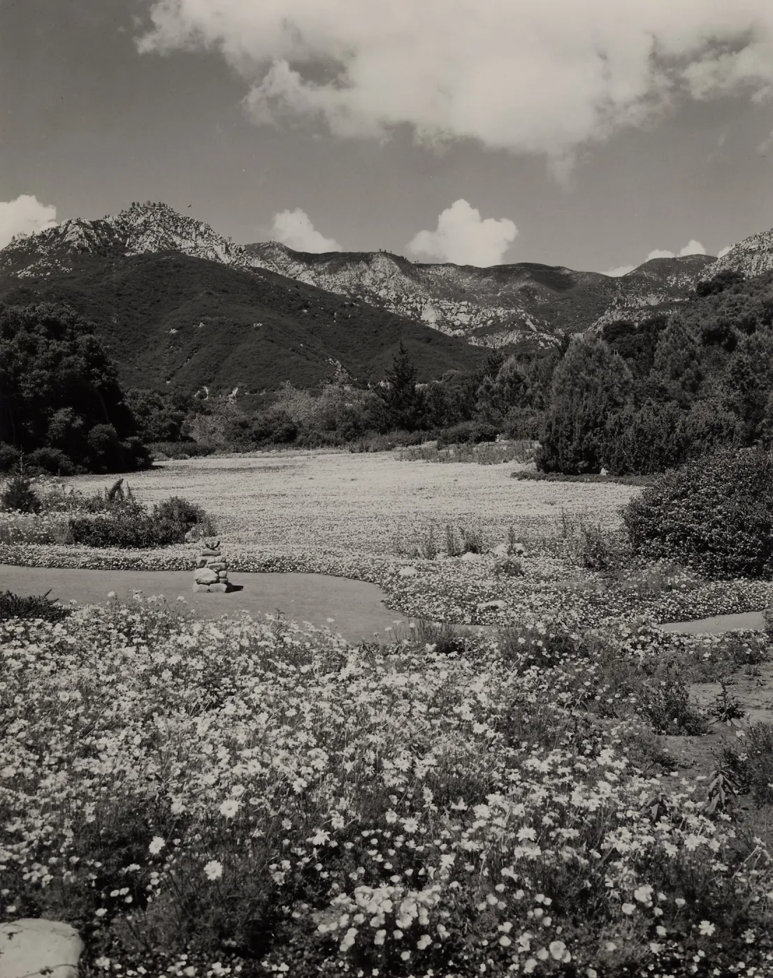 Strawberry Meadow in springtime, © Josef Muench