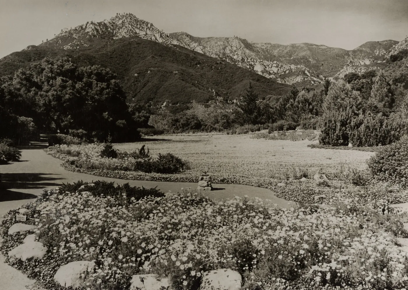 Meadow, 1942
