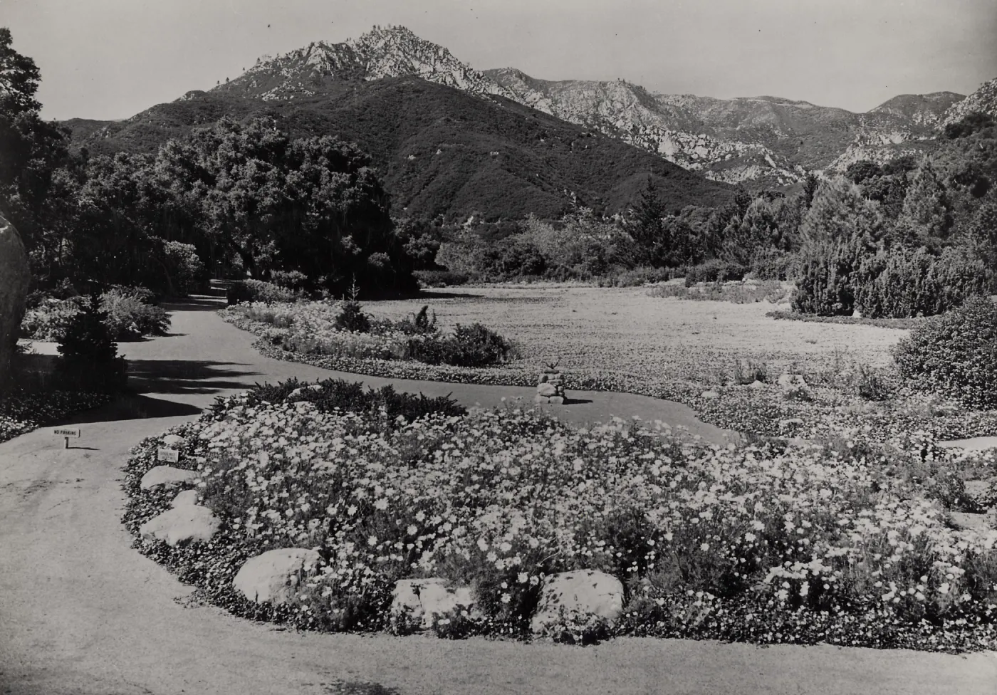 Meadow, 1942 (note small wood sign, left center, 'No Parking')