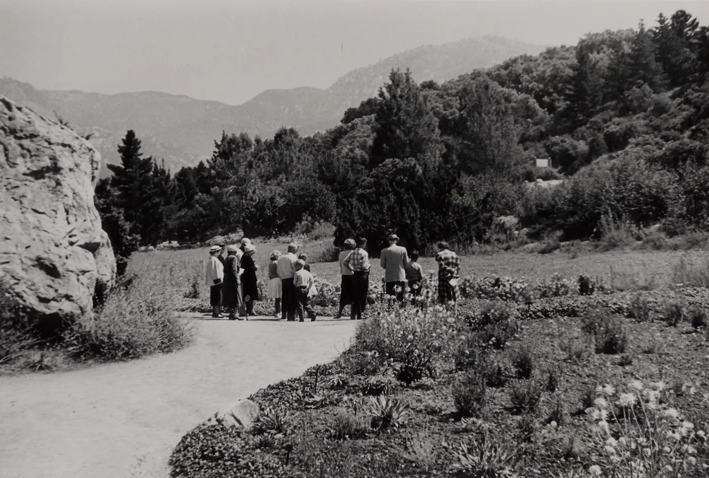 SBBG, Blaksley Boulder and Meadow, Guided Tour