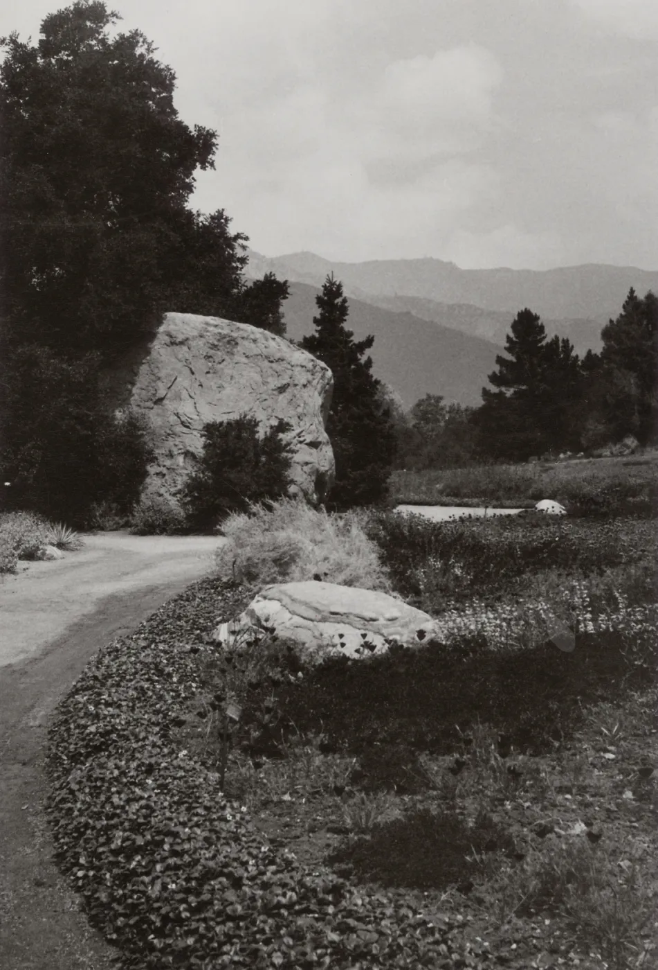 SBBG, Blaksley Boulder and Meadow
