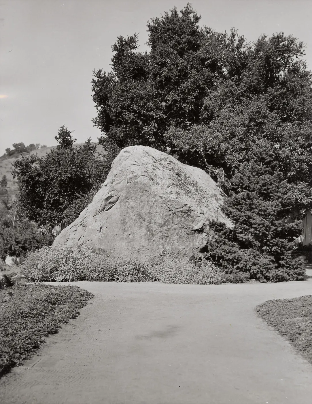 SBBG, Blaksley Boulder (with Tunnel Road hillside behind)