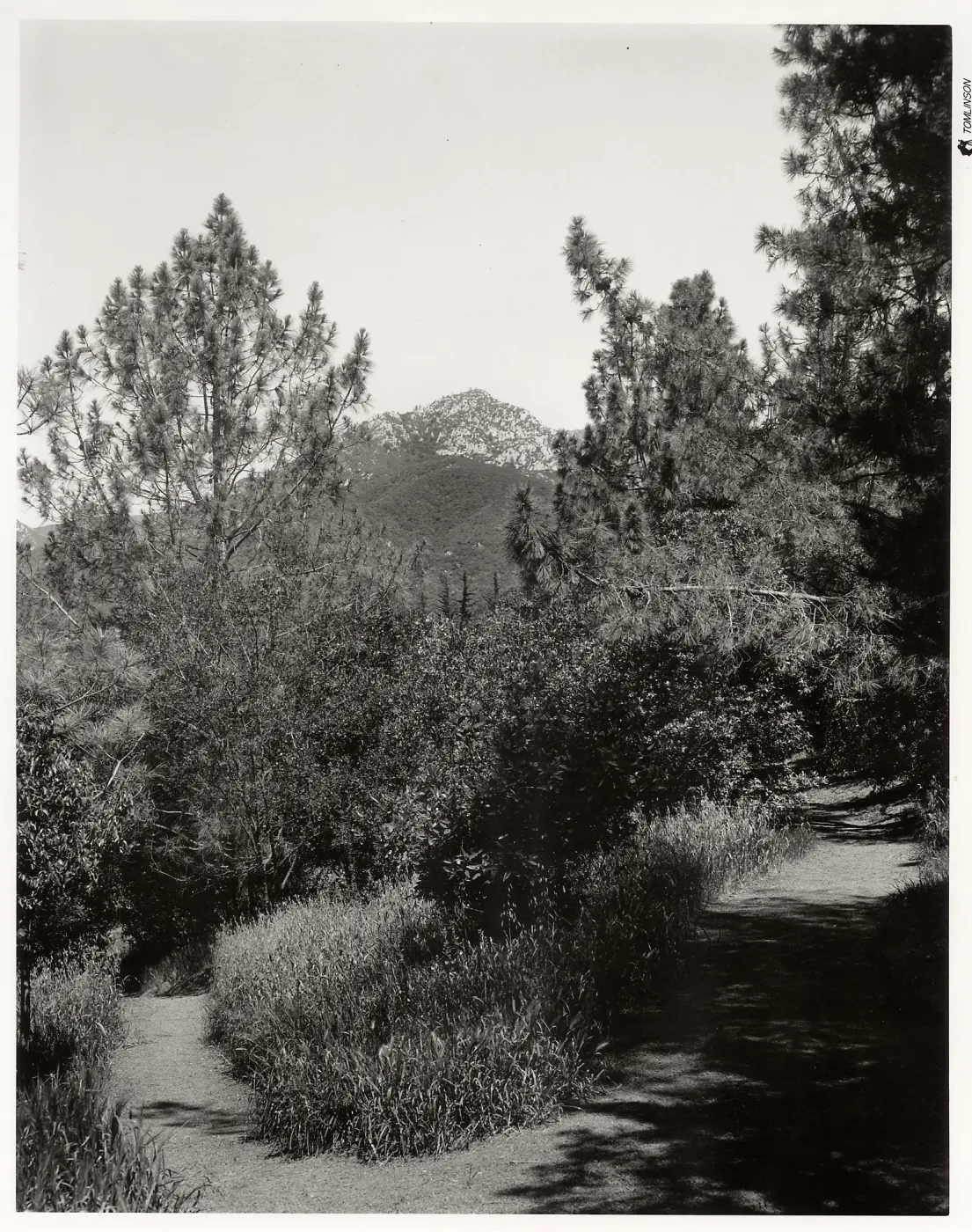 Porter Trail, 1959