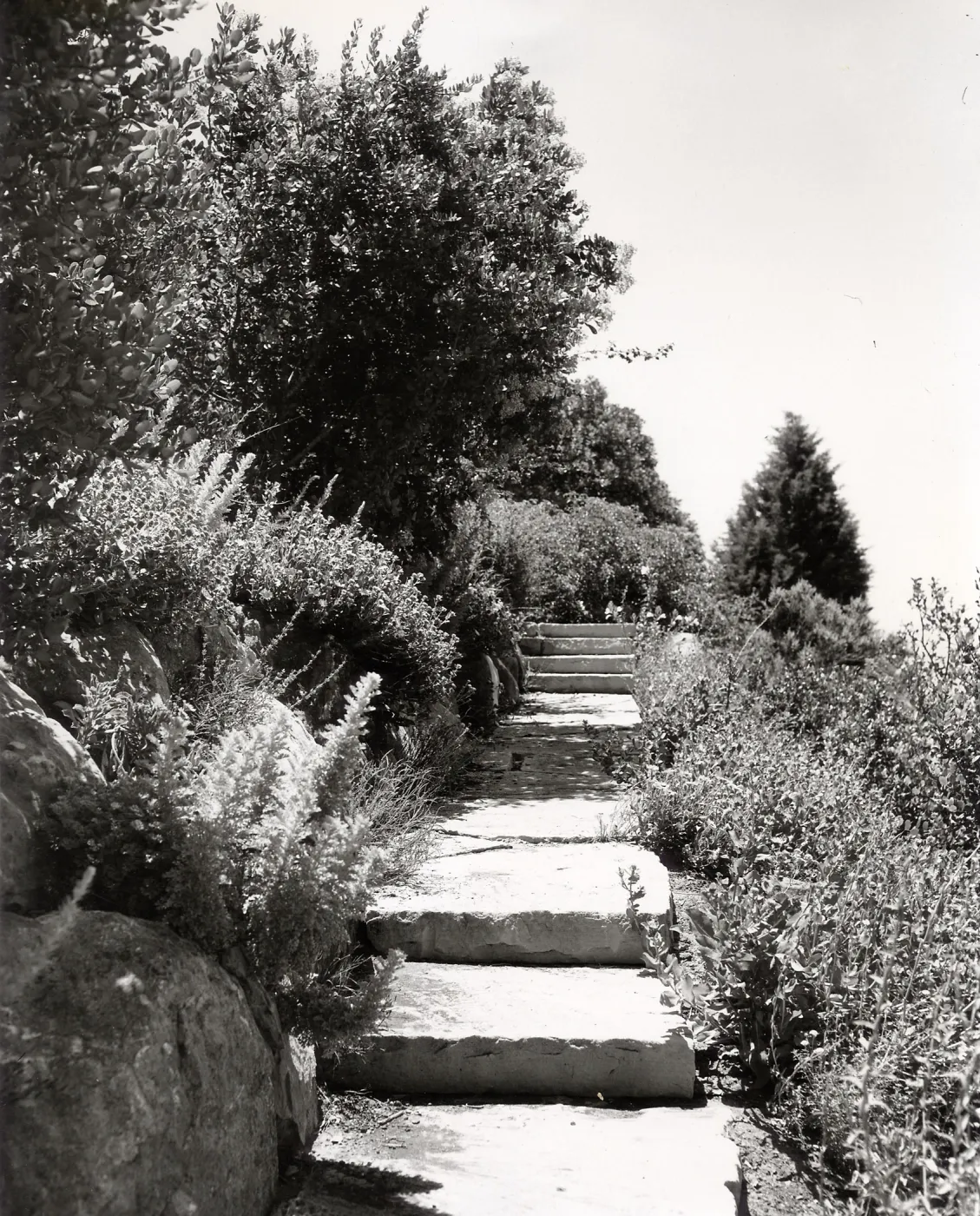 steps to Porter Trail from Mission Canyon Road