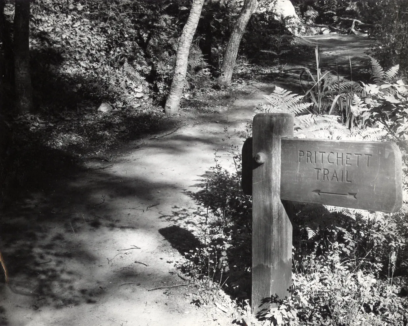 Southerly approach to Pritchett Trail, 1948