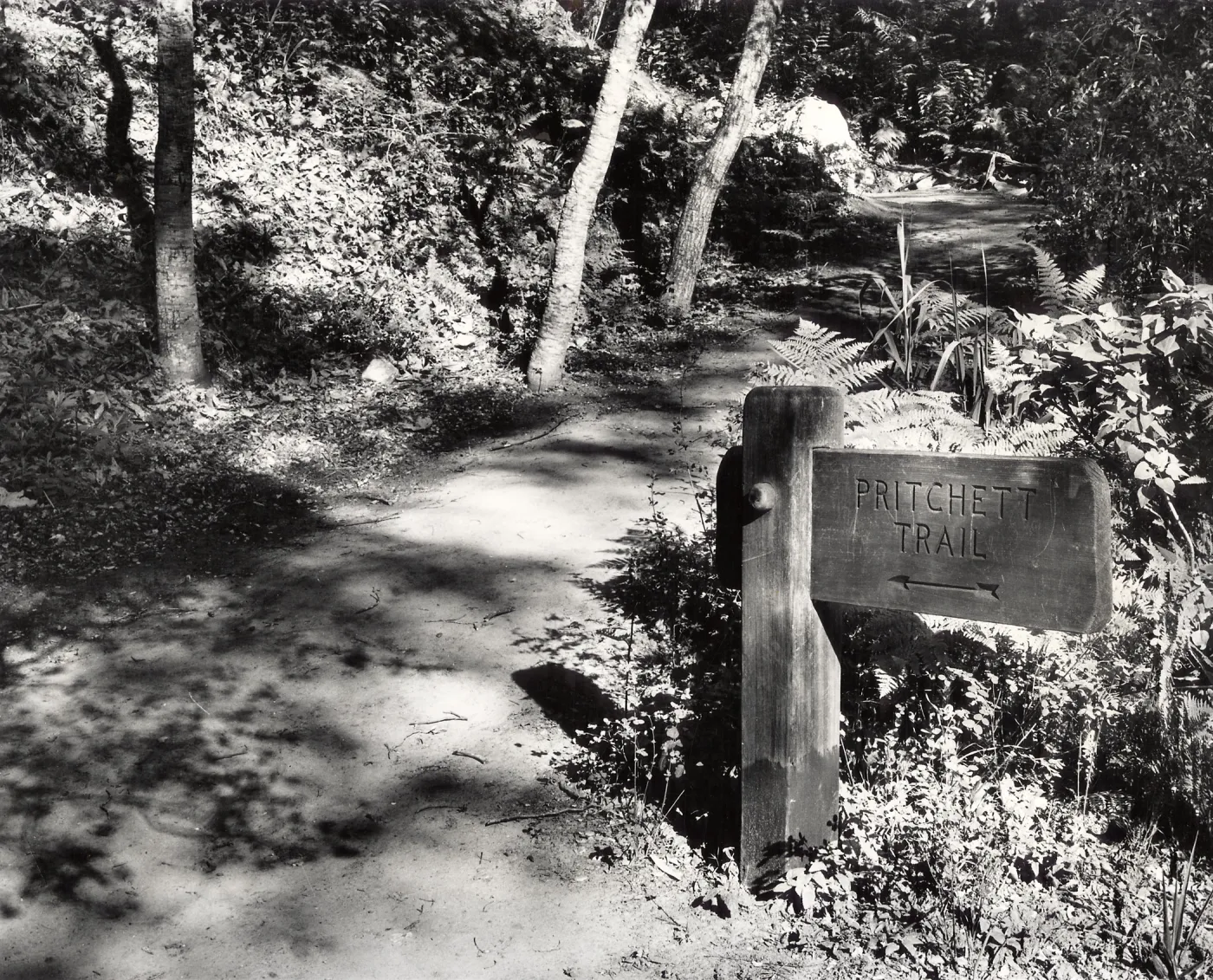 Southerly approach to Pritchett Trail, 1948
