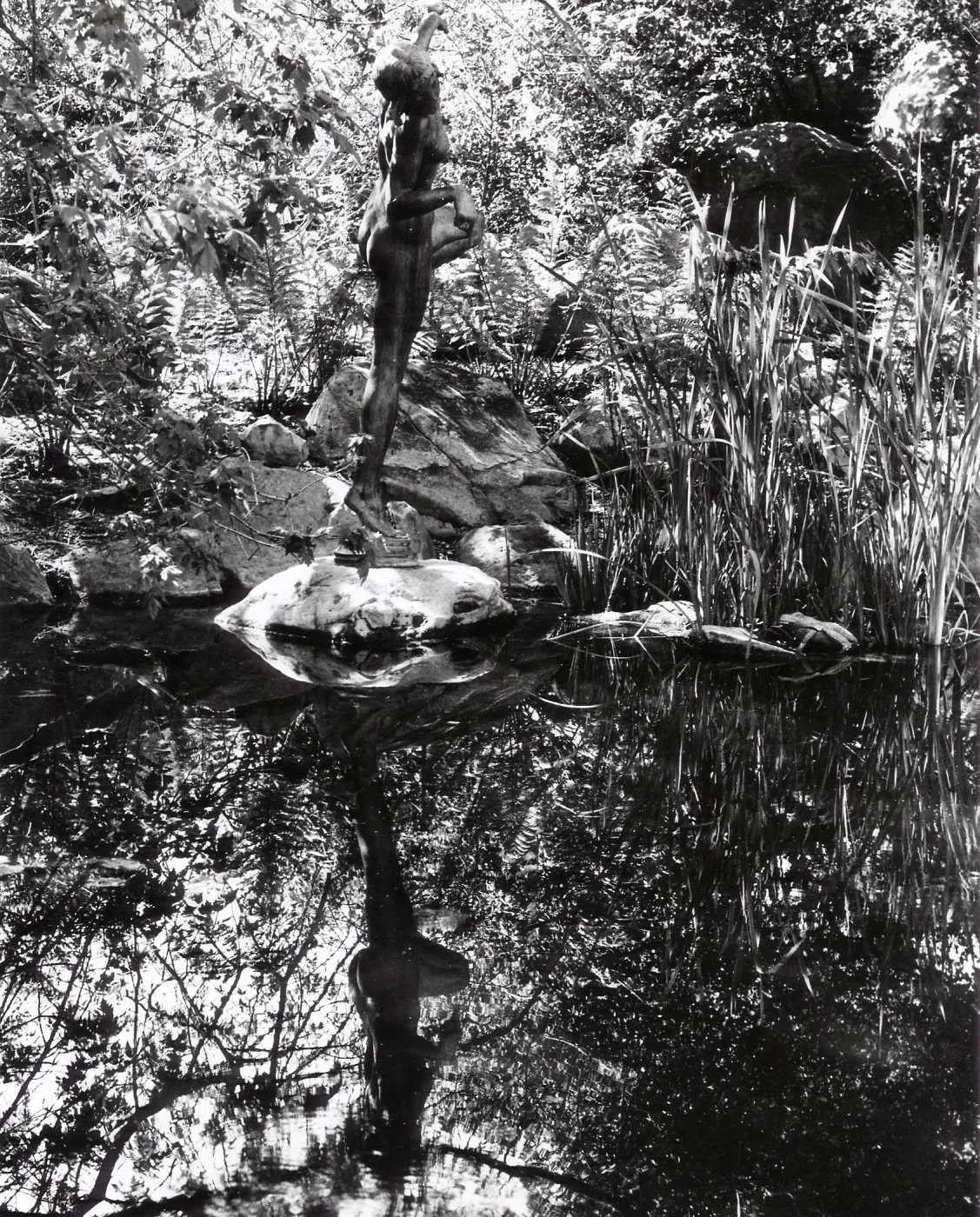 Frog Princess Statue, SBBG