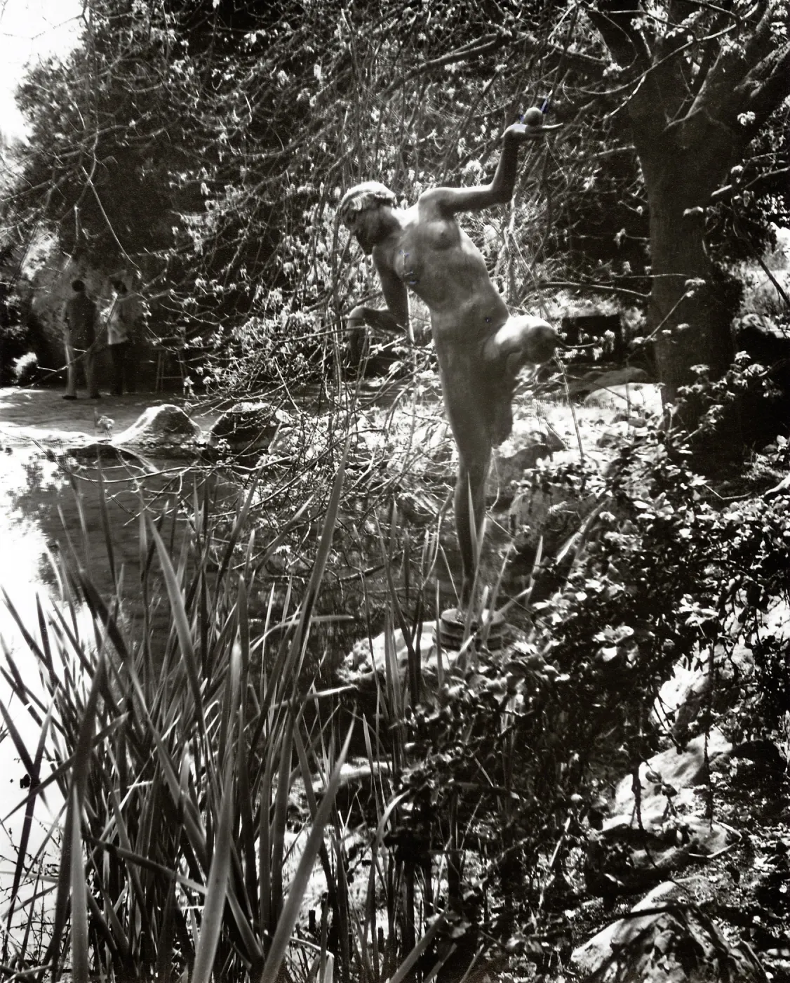 Frog Princess Statue, SBBG