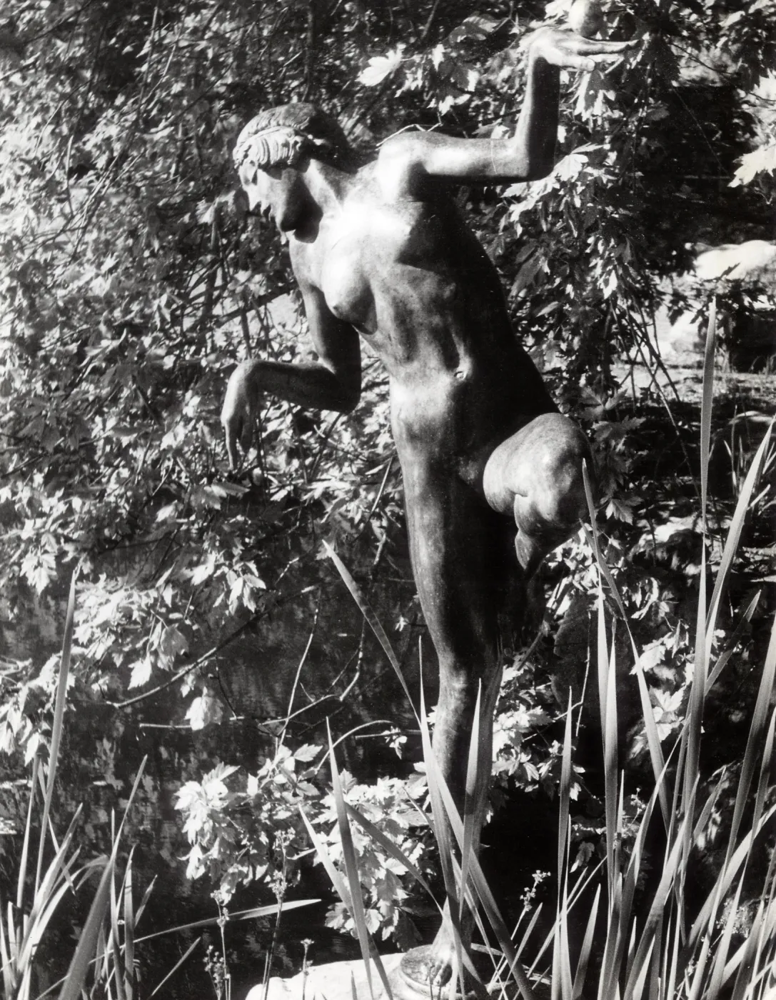 Frog Princess Statue, SBBG