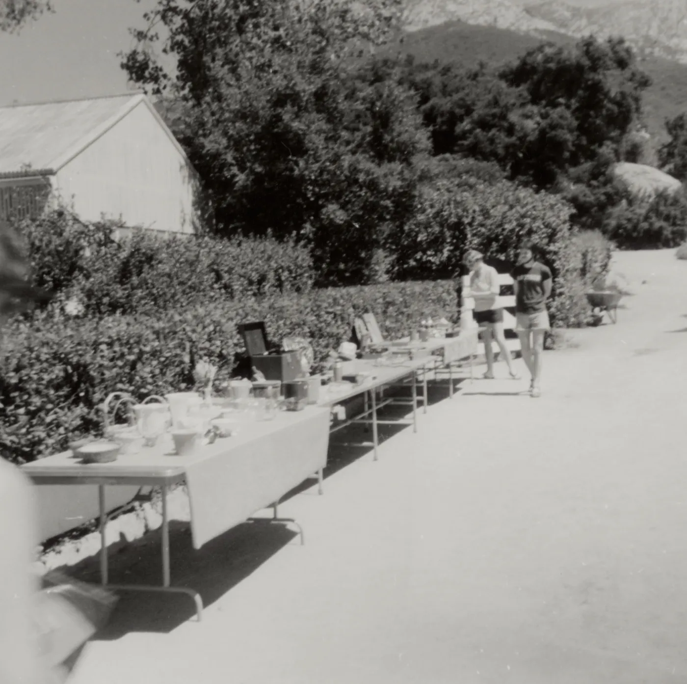 Sale of Garden Related Items, 1979