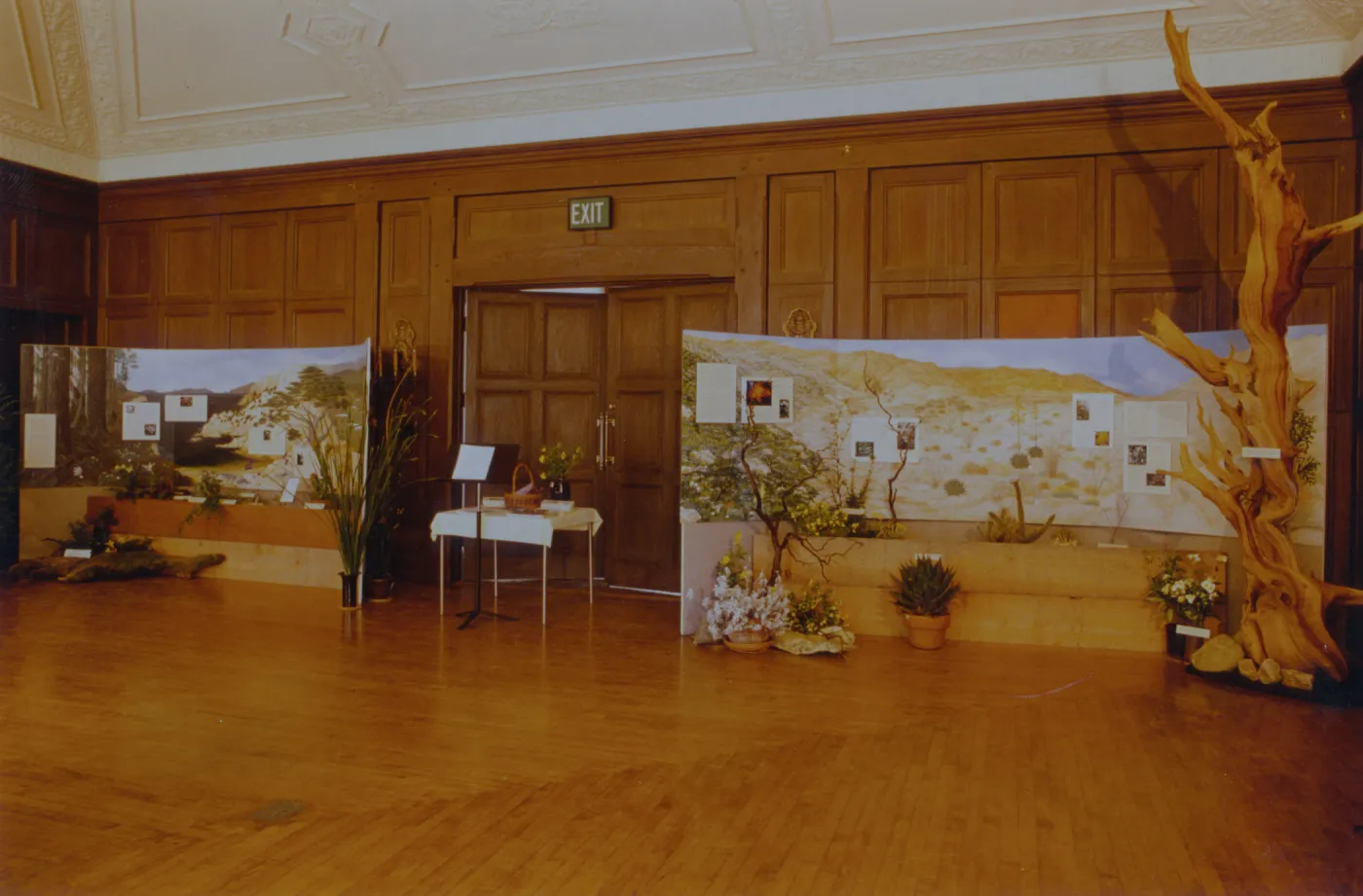 Exhibit: Treasures of the Flora