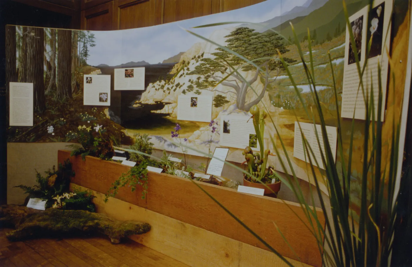 Exhibit: Treasures of the Flora