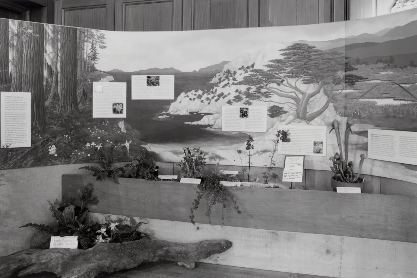 Exhibit: Treasures of the Flora