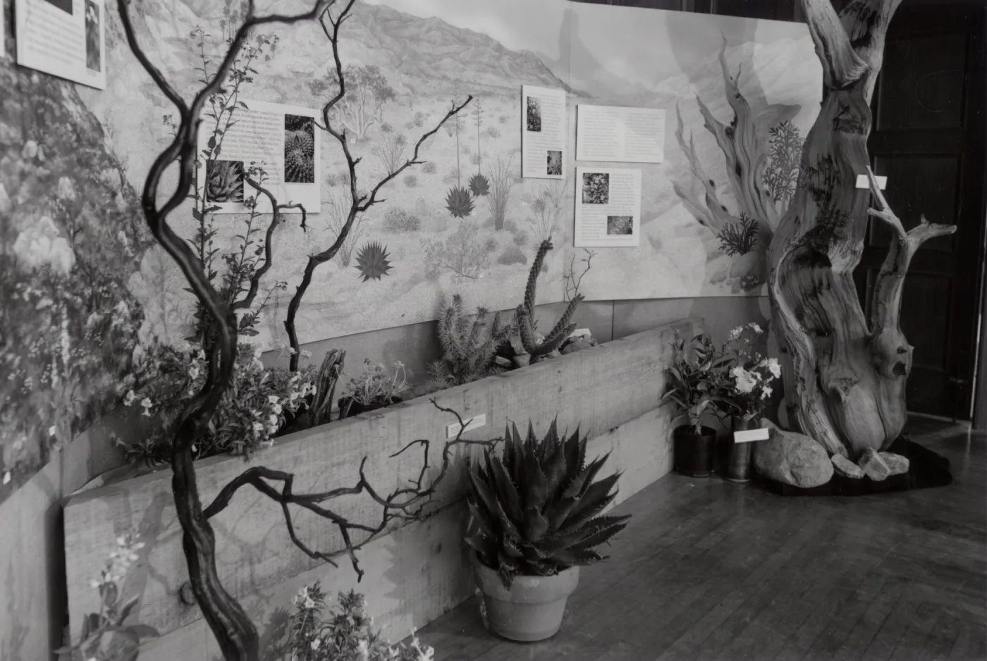 Exhibit: Treasures of the Flora