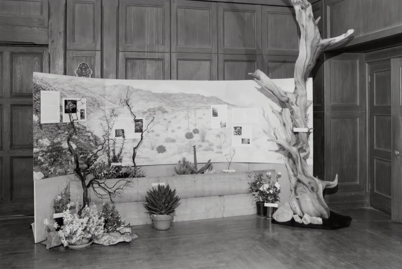 Exhibit: Treasures of the Flora