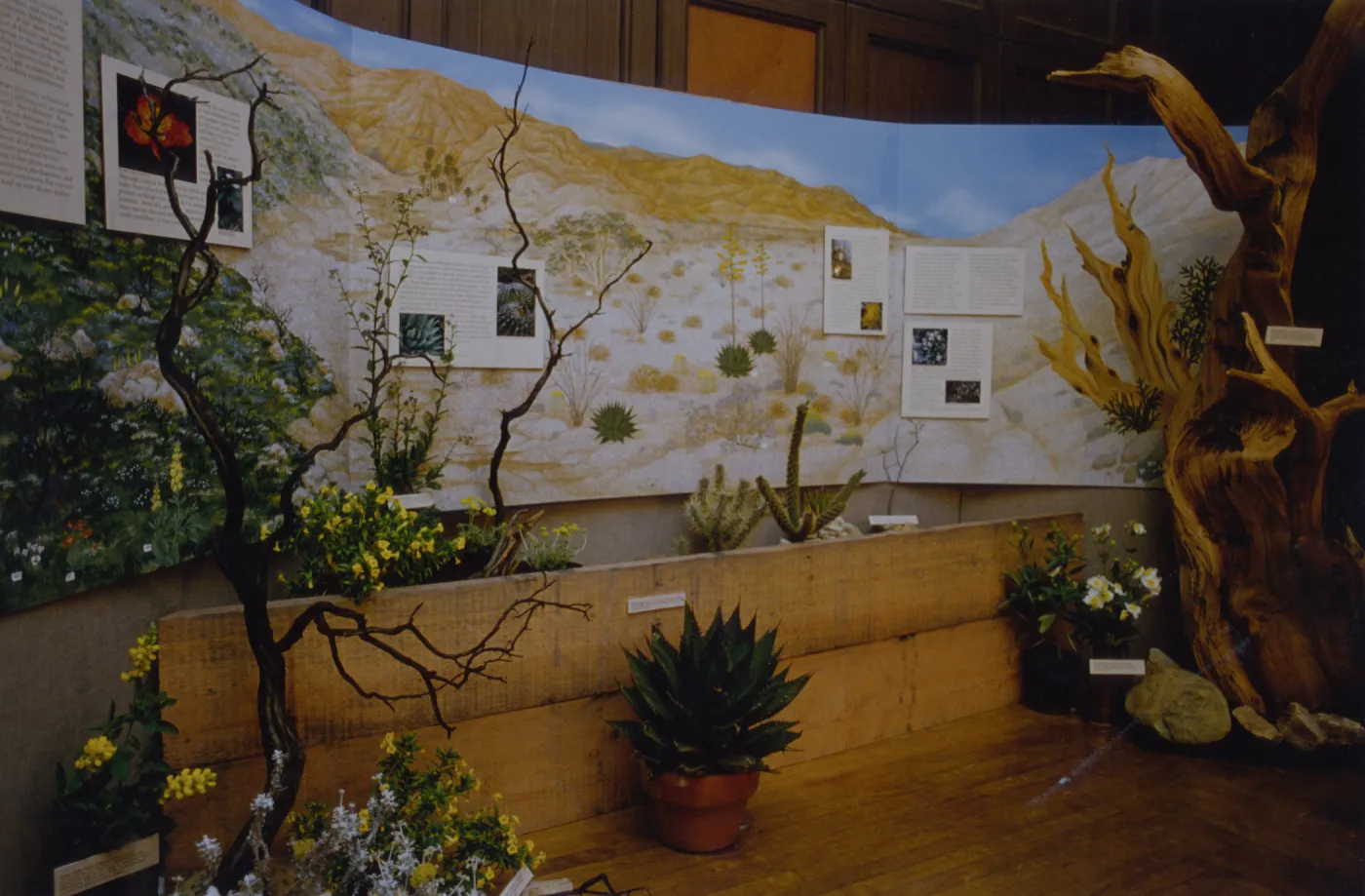 Exhibit: Treasures of the Flora