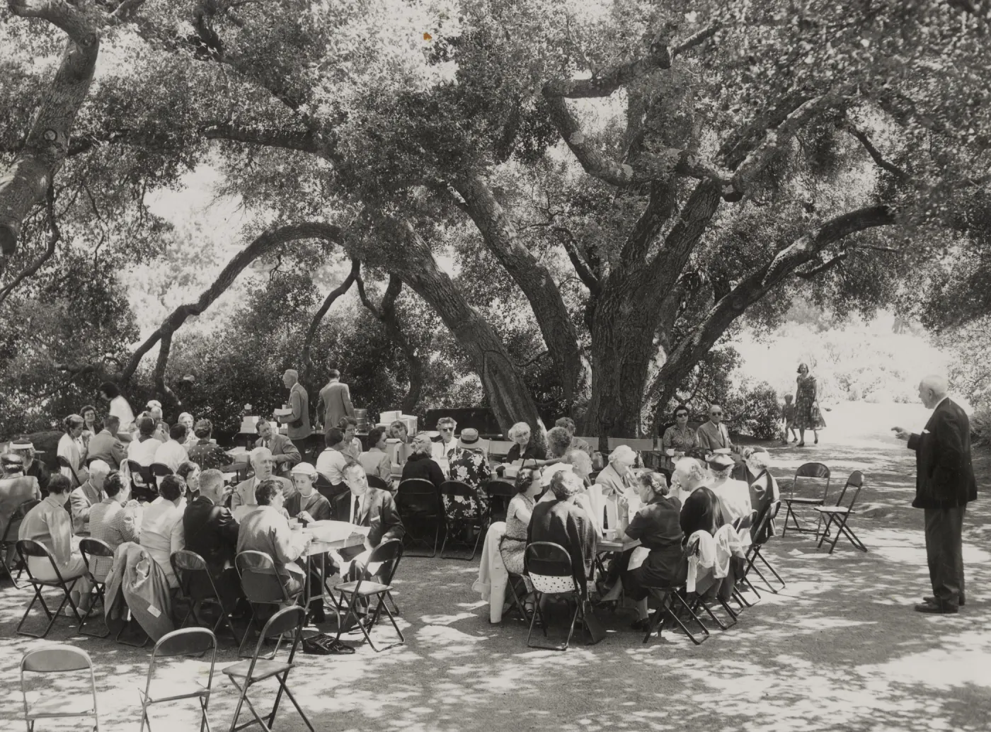gathering under the oaks, Members Day, 1956