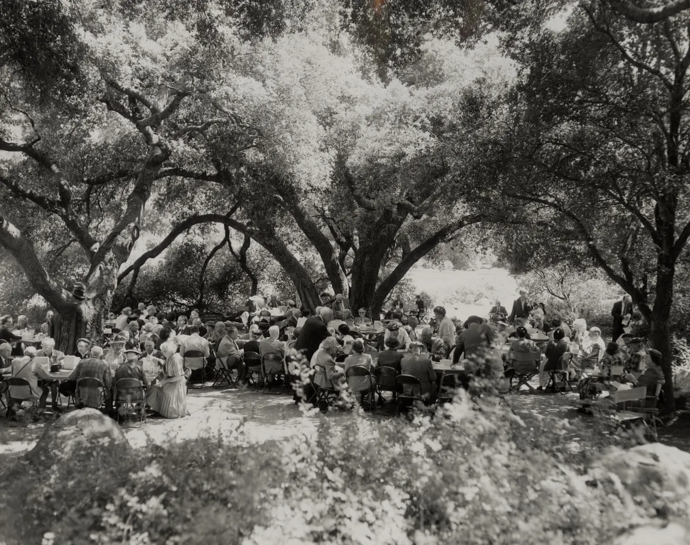 Members Day 1958