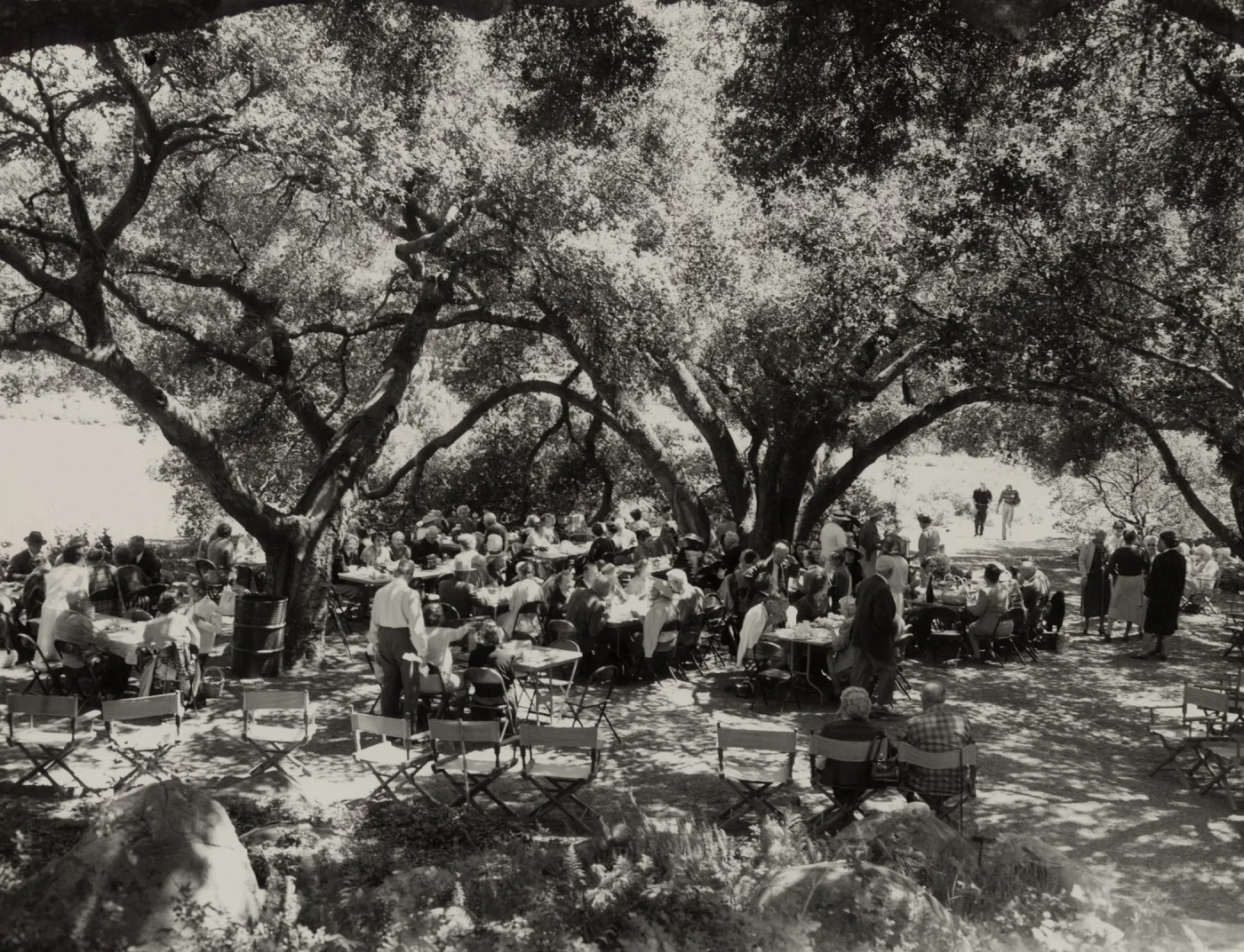 Members Day, 1961, under the Meadow Oaks