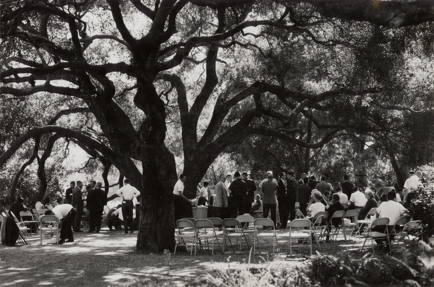 SBBG Symposium on the Biology of the Channel Islands, October 1965