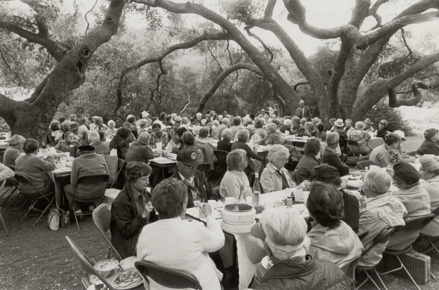 Members Day 1984, under the oaks