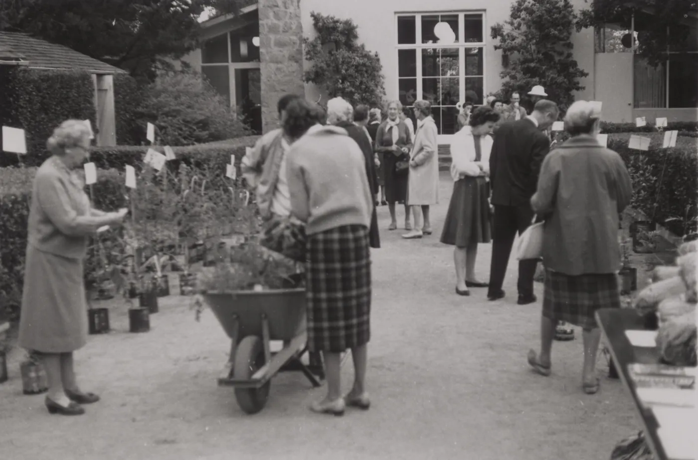 Plant Sale 1962