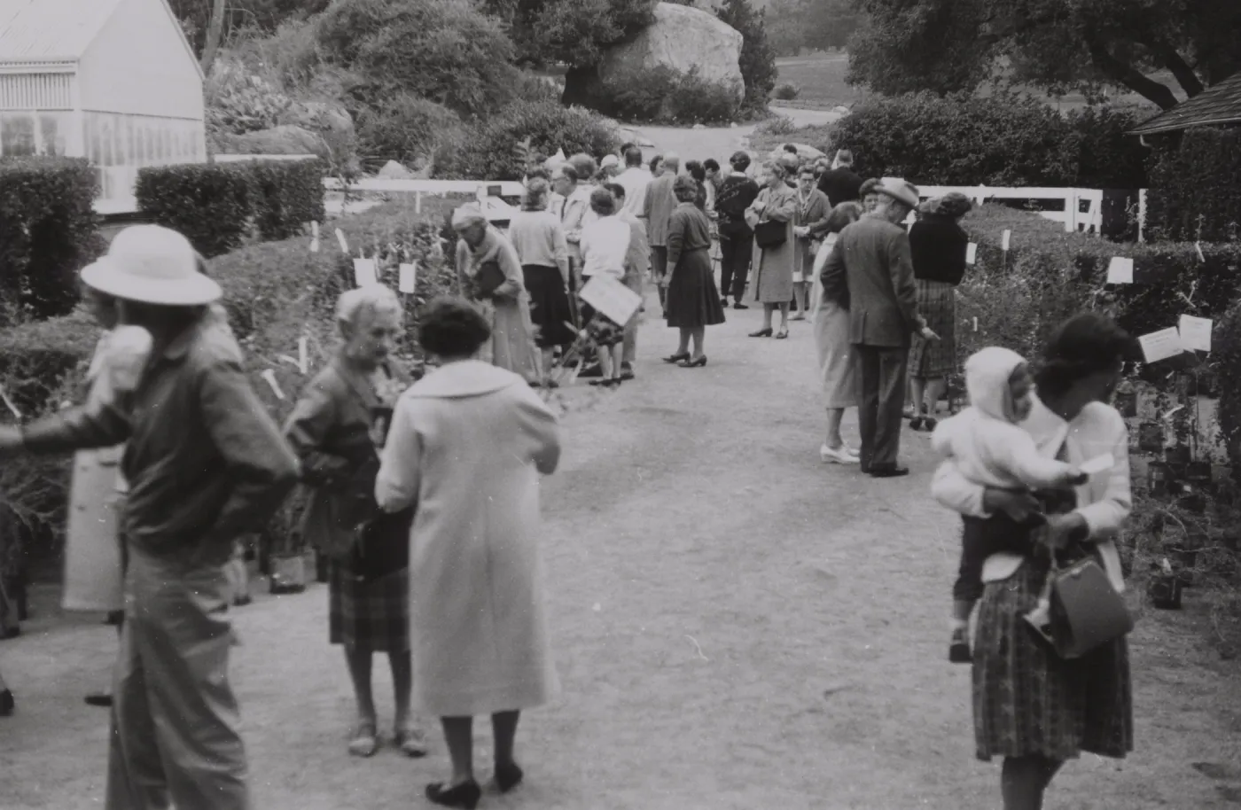 Plant Sale 1962