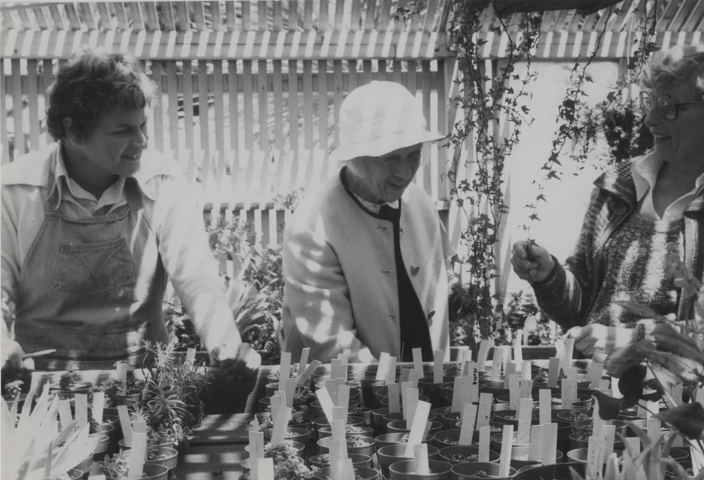 Garden Growers preparing for Plant Sale