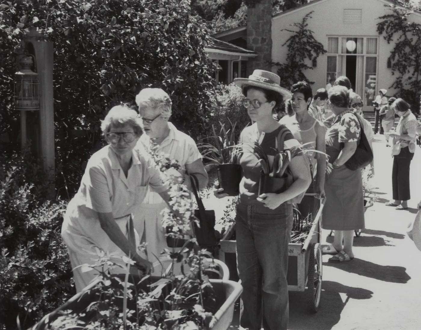 Plant Sale