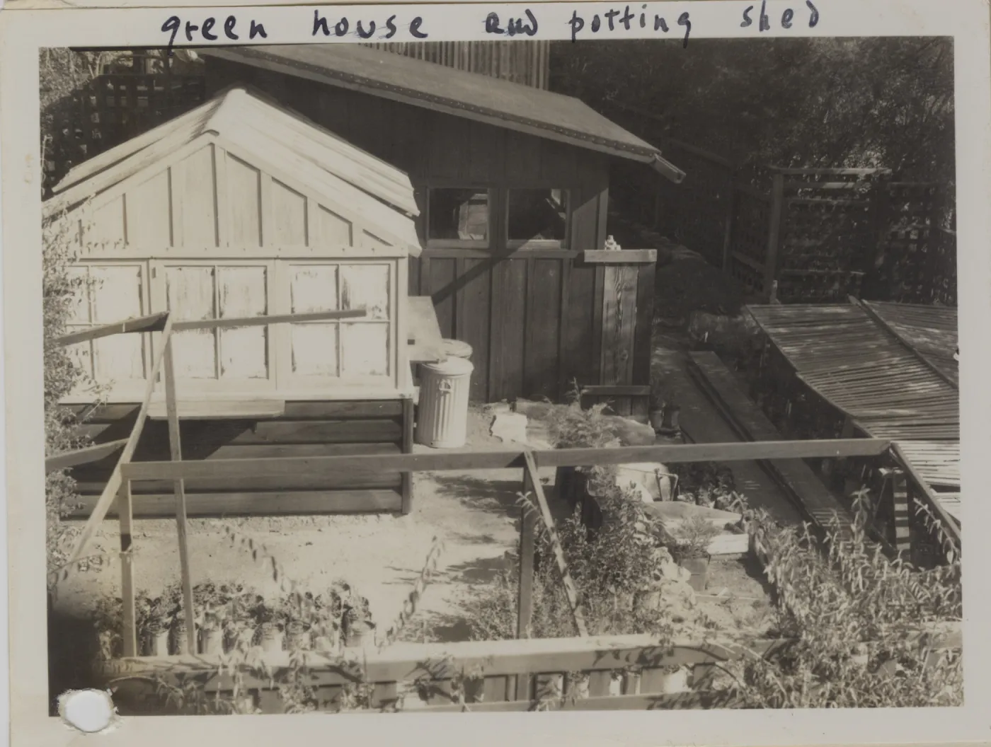 SBBG Administrative Center 1937, greenhouse and potting shed