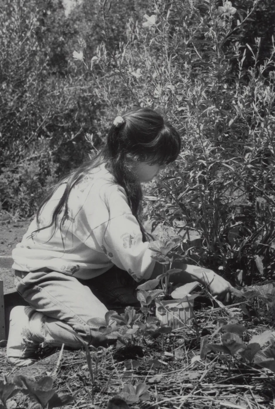 Children's Garden, Children Gardening
