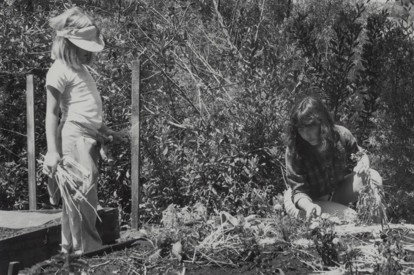 Children in the Garden, Children's Garden