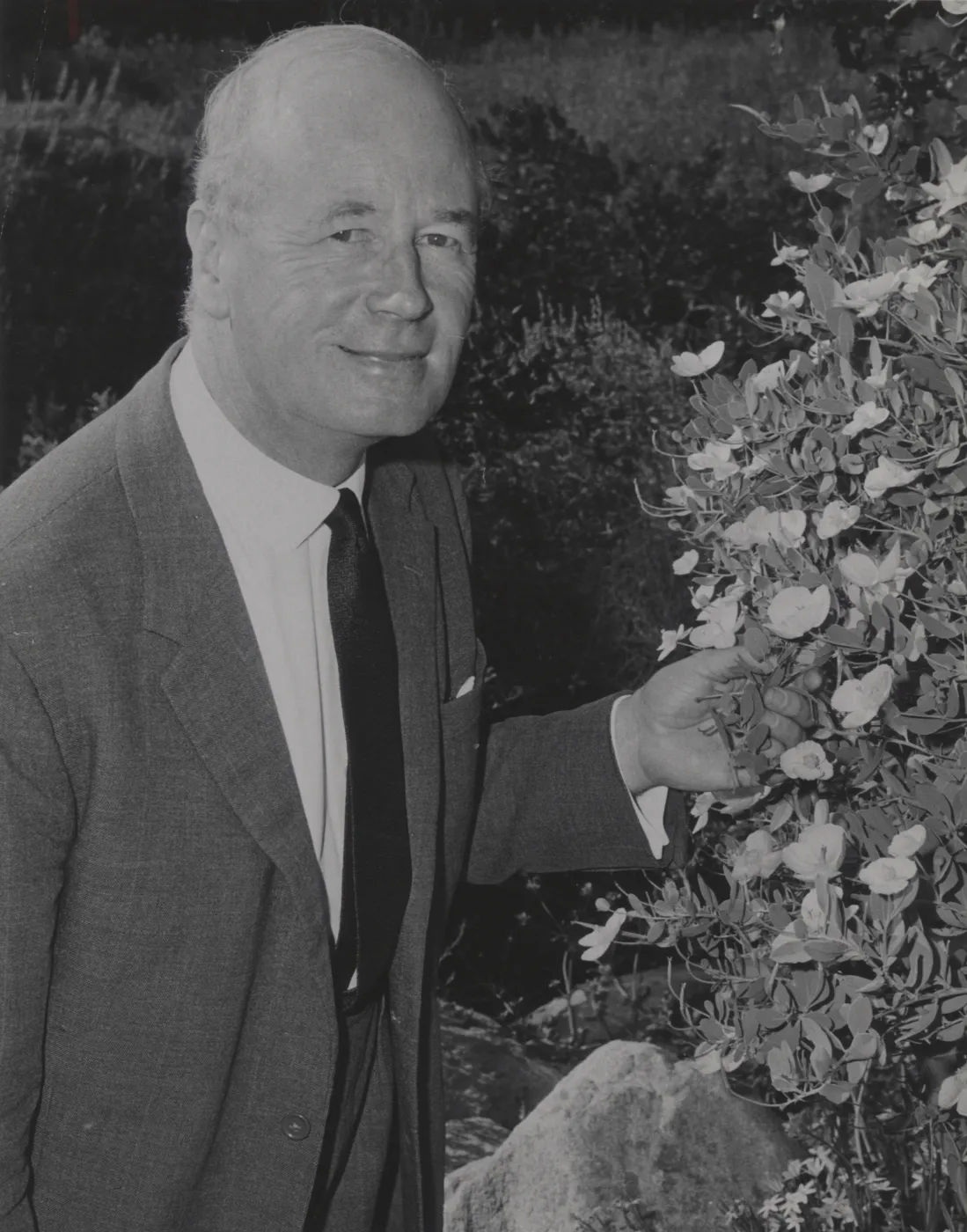 Lord Talbot with Dendromecon