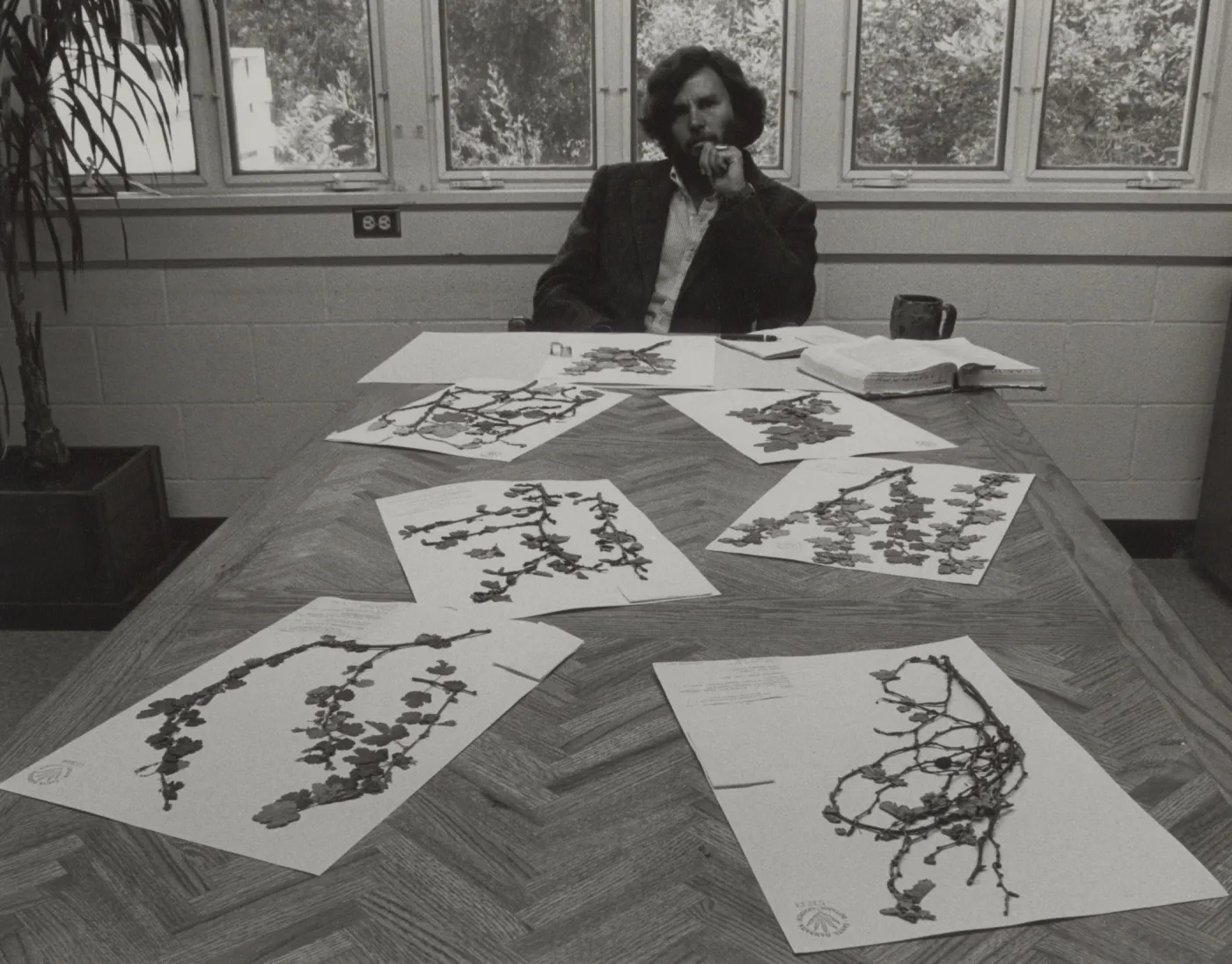 Dr. Timbrook contemplating Ribes thacherianum