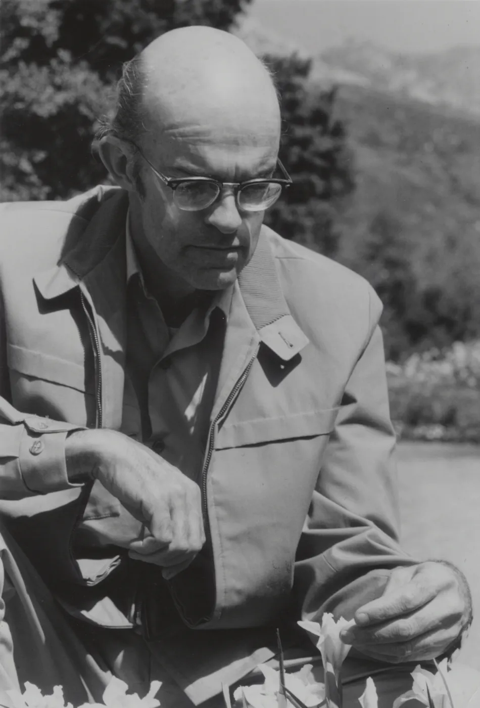 Dara Emery with new Iris 'Canyon Snow'