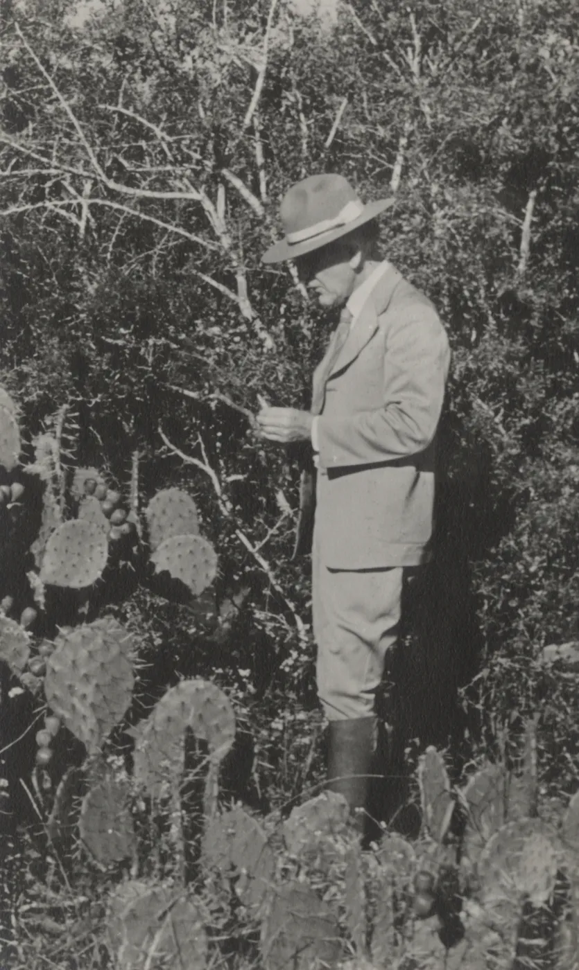 Dr. Frederic Clements