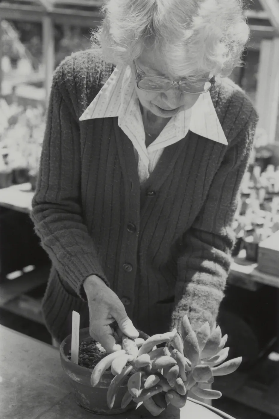 Mae Blakley, Garden Growers