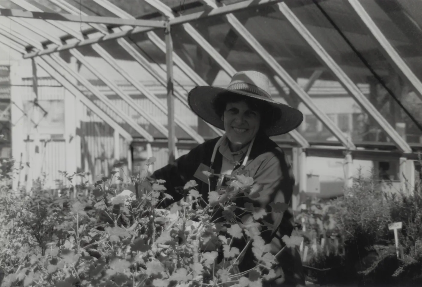 Bettine Wallin, Garden Growers